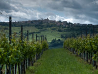 Nuovo sequestro di falso Verdicchio. Coldiretti, inasprire le pene per agropirateria. Caselli ad Ancona