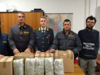 Droga. Sequestrati nel porto di Ancona 25 chili di marijuana proveniente dalla Grecia