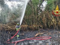 Falconara, fiamme bruciano canneto e vegetazione