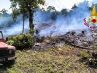 Castagneto a fuoco a Montegallo