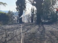 A Jesi in fumo 15 ettari di grano e sterpaglie