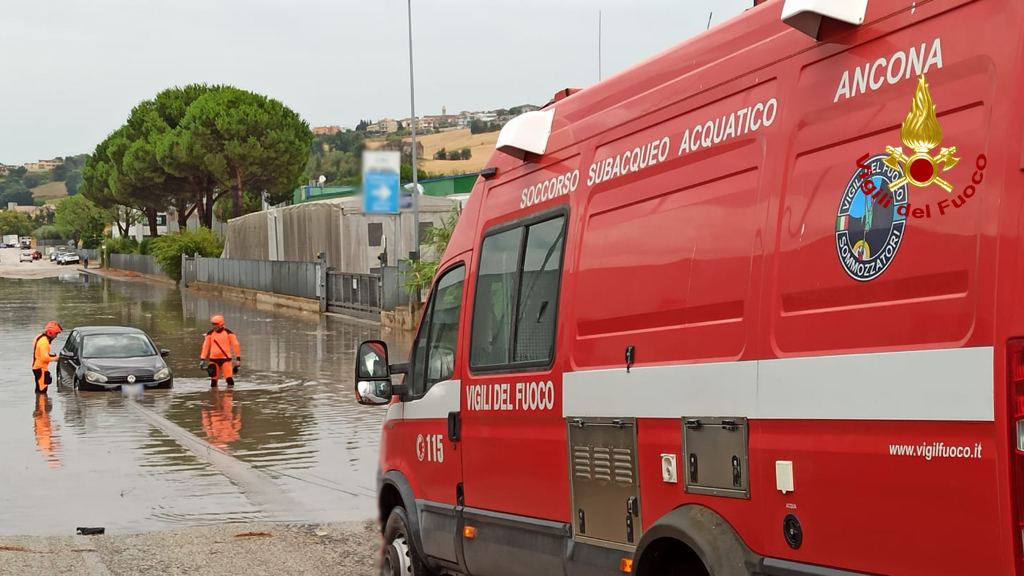 Maltempo Nelle Marche Raffica Di Allagamenti E Alberi Caduti