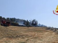 Vasto incendio boschivo a Ostra