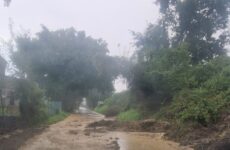 Maltempo, nel Pesarese 60 interventi sulle strade