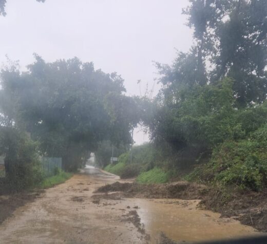 Maltempo, nel Pesarese 60 interventi sulle strade