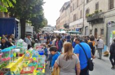 A Comunanza torna la “Fiera degli Uccelli”