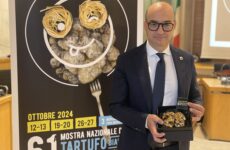 Tutto pronto per la Mostra del Tartufo Bianco di Sant’Angelo in Vado